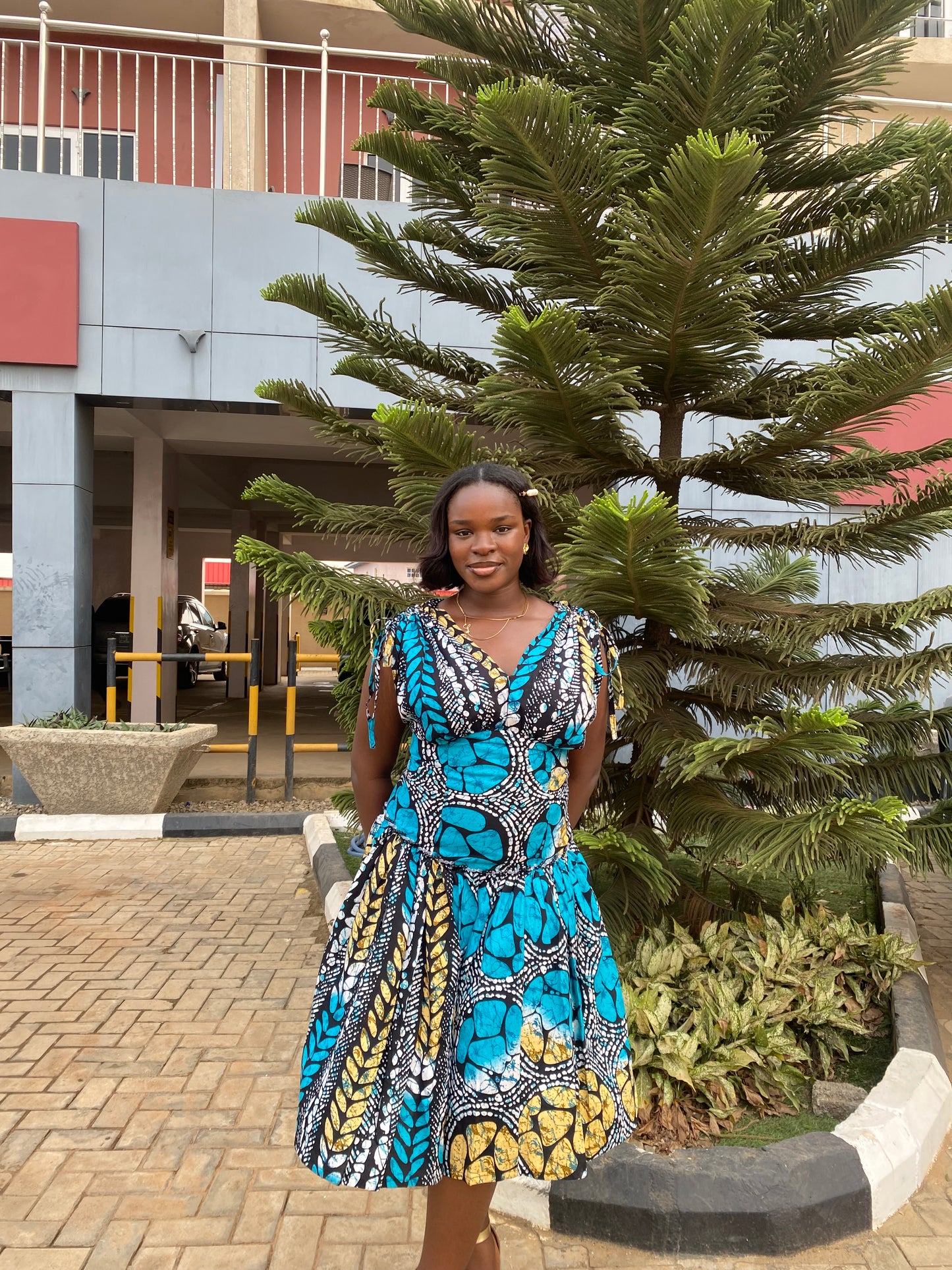 The Ori Dress